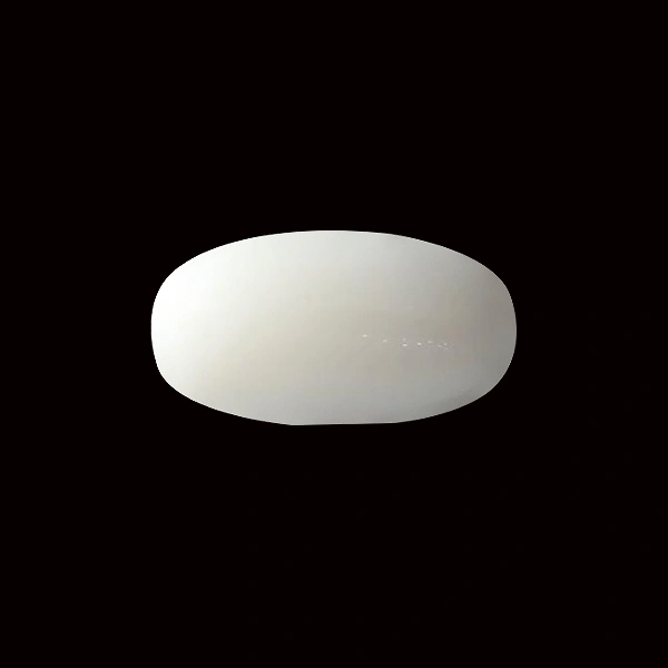 White Coral - 5.52 carats